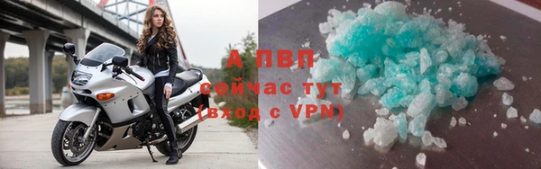 прущие грибы Кстово