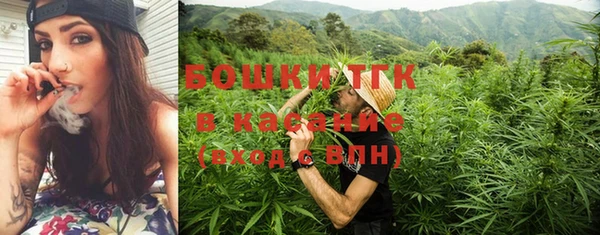 прущие грибы Кстово