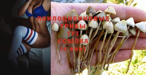 не бодяженный Дмитров