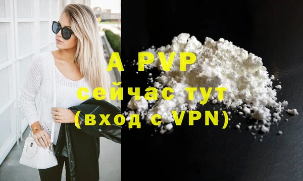 прущие грибы Кстово